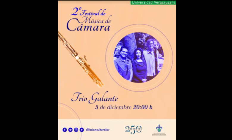 Finaliza el 2° Festival de Música de Cámara edición virtual