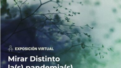 Invitan a la exposición virtual Mirar Distinto La(s) Pandemia(s)