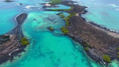 Estudiarán en Islas Galápagos impacto de turismo en el ambiente