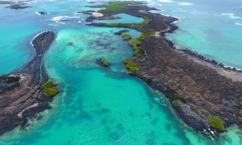 Estudiarán en Islas Galápagos impacto de turismo en el ambiente