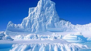 Glaciares guardarán registro del impacto del Covid-19