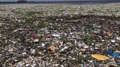 Microplásticos inundan océanos de todo el mundo