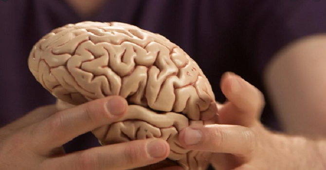 De esta forma el cerebro puede retener más información