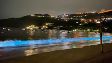 Playas de Acapulco muestran bioluminiscencia durante aislamiento