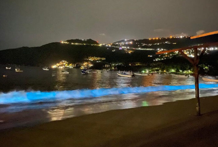 Playas de Acapulco muestran bioluminiscencia durante aislamiento