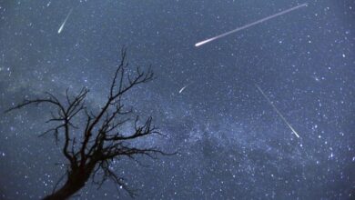 Abra lluvia de estrellas este mes, te decimos cuando verla