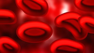 ¿Cuáles son las causas y tipos de anemia?