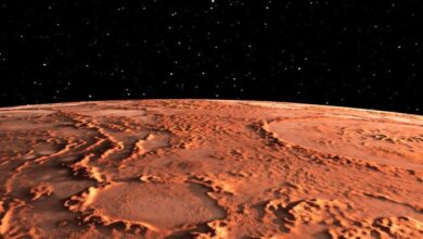Meteoritos sugieren que Marte no tenía un océano de magma