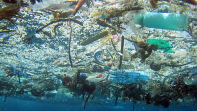 Combatirán escombros marinos con plástico biodegradable