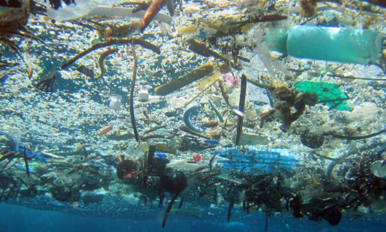 Combatirán escombros marinos con plástico biodegradable