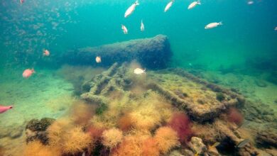 Hallan en Yucatán primer barco usado para tráfico de esclavos mayas