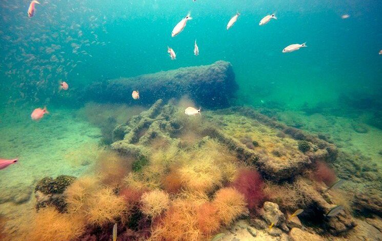 Hallan en Yucatán primer barco usado para tráfico de esclavos mayas