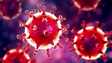 ¿Qué es una pandemia y cuáles son sus consecuencias?