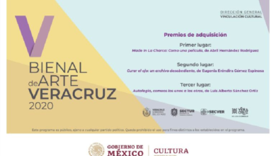 IVEC da a conocer a las y los ganadores de la V Bienal de Arte Veracruz 2020