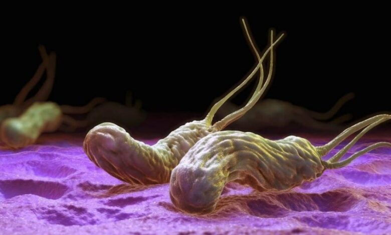 Desarrollan tratamiento contra infecciones de Helicobacter pylori