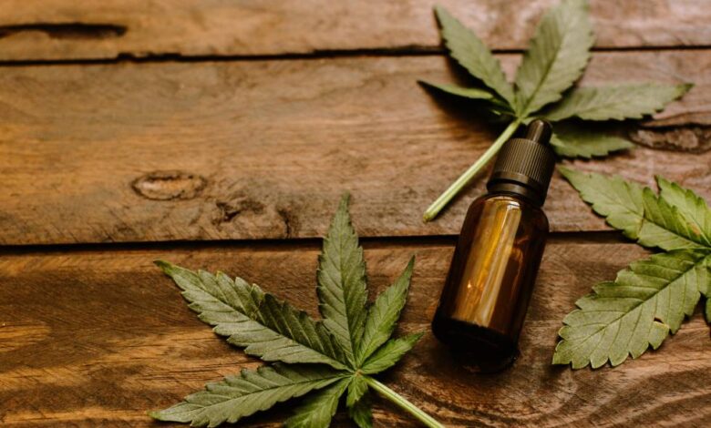 Analizan uso de cannabidiol para tratar epilepsia