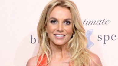 Abogado de Britney Spears designado por la corte renuncia al caso