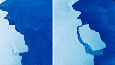 Gran desprendimiento de hielo en el «Pine Island» de  la Antártida