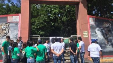 Zoológico de Veracruz cumple 10 años… en el olvido