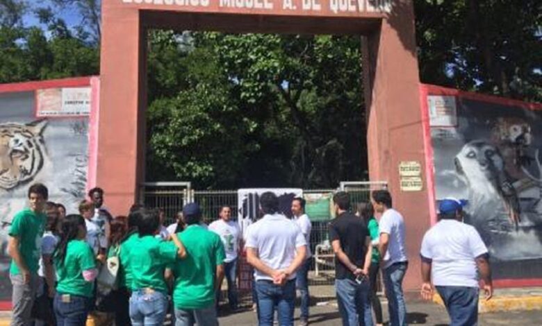 Zoológico de Veracruz cumple 10 años… en el olvido