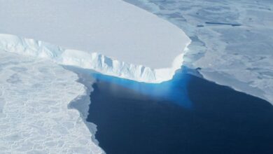 Hallan agua caliente en un glaciar de la Antártida