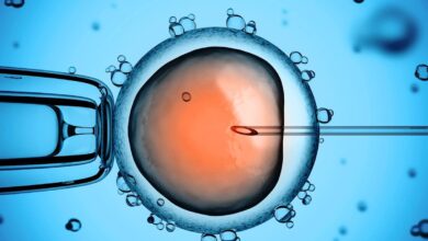 Espermatozoides y óvulos artificiales, casi una realidad