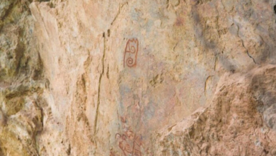 Sismo deja al descubierto pinturas rupestres en Oaxaca