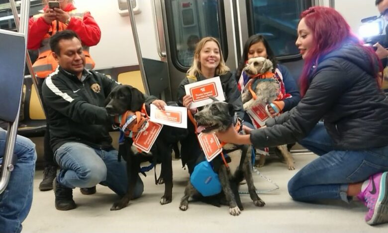 Perritos ayudaron a entregar miles de cartas a “Los Reyes Magos”