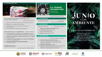 Presenta el IVEC cartelera de actividades para Junio con Ambiente