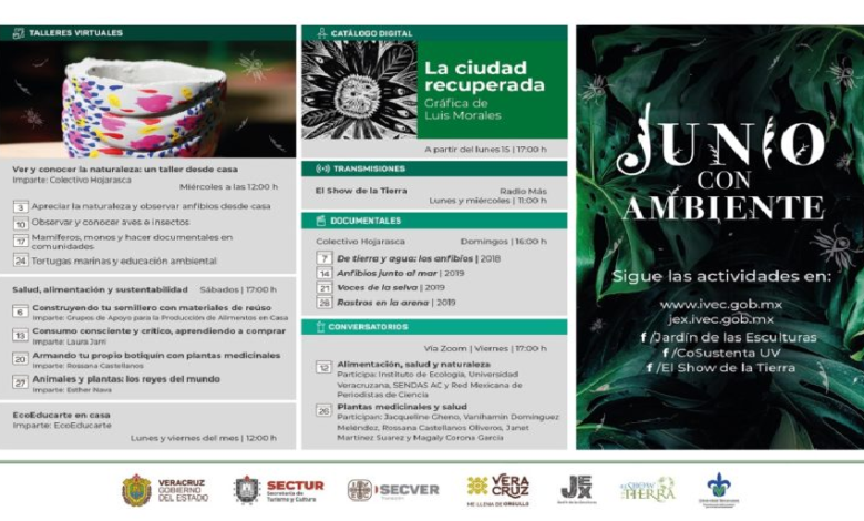 Presenta el IVEC cartelera de actividades para Junio con Ambiente