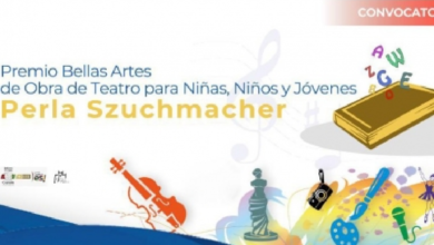 Convocan al Premio Bellas Artes Perla Szuchmacher 2020