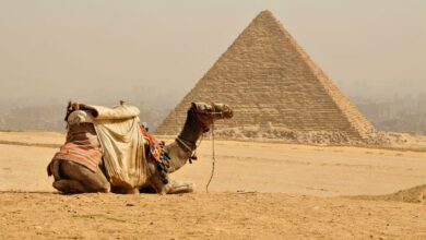 Encuentran cueva con figuras antropomorfas en el norte de Egipto