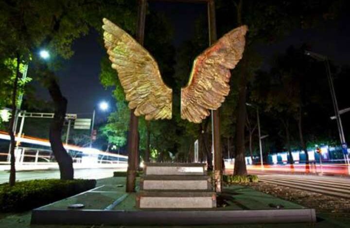 Piden compartir fotografías de «Las alas de México»