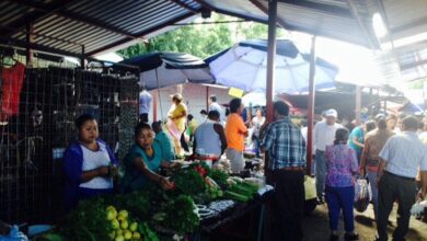 Tianguis, estilo de vida y tradición