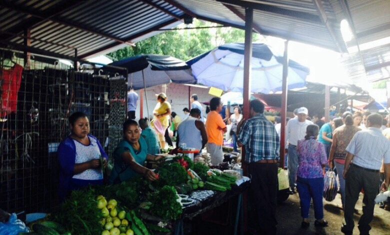 Tianguis, estilo de vida y tradición