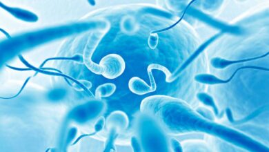 ¿Tratamientos de cáncer afectan fertilidad?