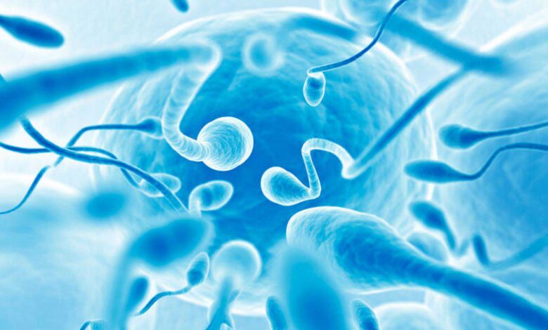 ¿Tratamientos de cáncer afectan fertilidad?