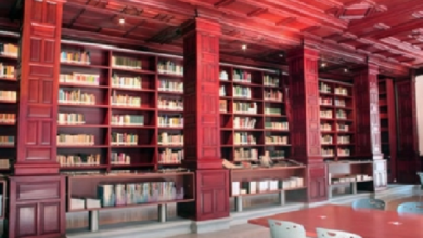 Biblioteca Pedro Bosch Gimpera, antropología internacional en México
