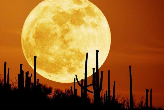 ¿Por qué se ve tan grande la luna de octubre?