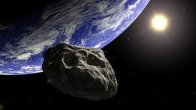 ¡Nos salvamos!, dice la NASA sobre asteroide