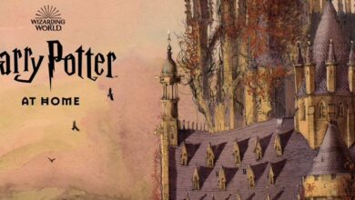 Autora de Harry Potter crea plataforma mágica