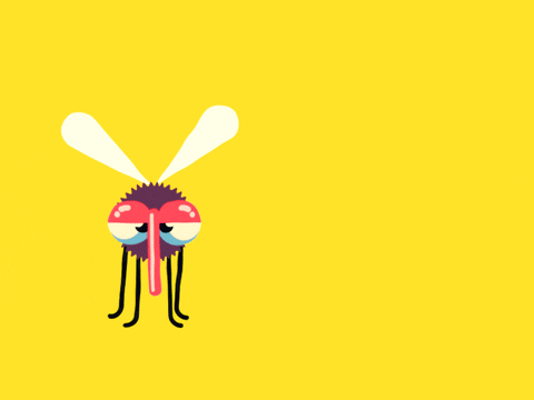 «Día Mundial del Mosquito», ¿una efeméride para festejar?