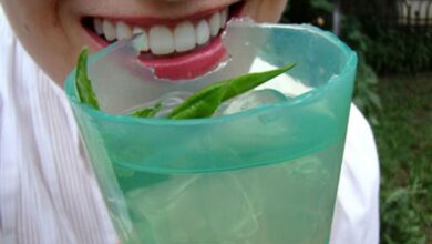 Crean vasos biodegradables de algas