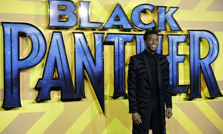 Con la muerte de Chadwick Boseman, ¿qué pasará con Black Panther 2?