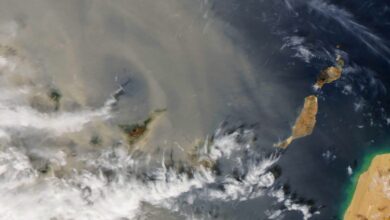 Polvo del Sahara inhibe formación de tormentas en el Atlántico