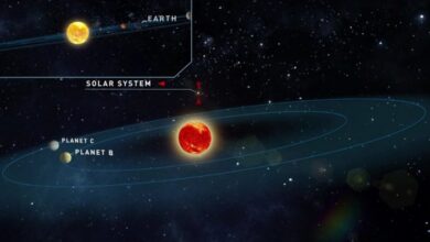 Descubren planetas con posible agua líquida y vida extraterrestre