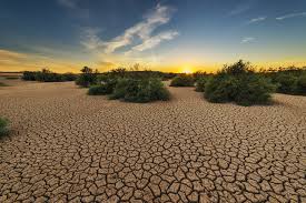 México, en riesgo de desertificación