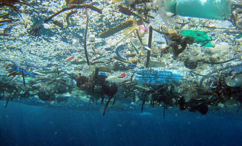 Retirarán 23 mil toneladas de químicos tóxicos de ecosistemas marinos