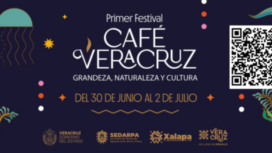 Realizarán el «Primer Festival Café Veracruz» en Xalapa