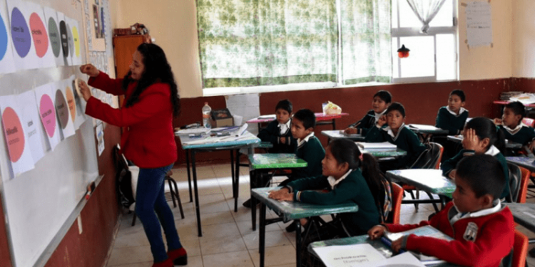 Vive México una crisis educativa que no ha sido atendida por la autoridad: Fundación SURA